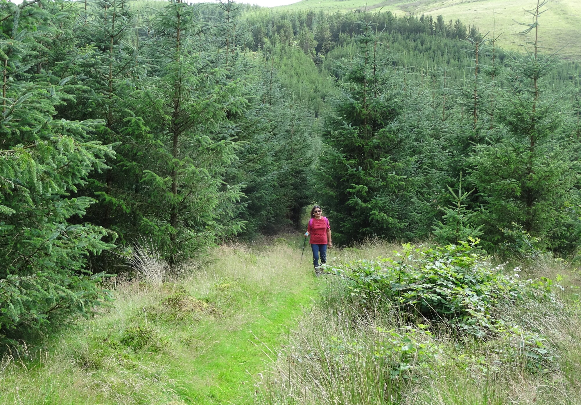 RachelSeabrook.net | Wild Walking | Craig y Pistyll | pic12
